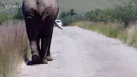 爱游戏官方-关于南非足球联赛：开普敦城对决比勒陀利亚的信息