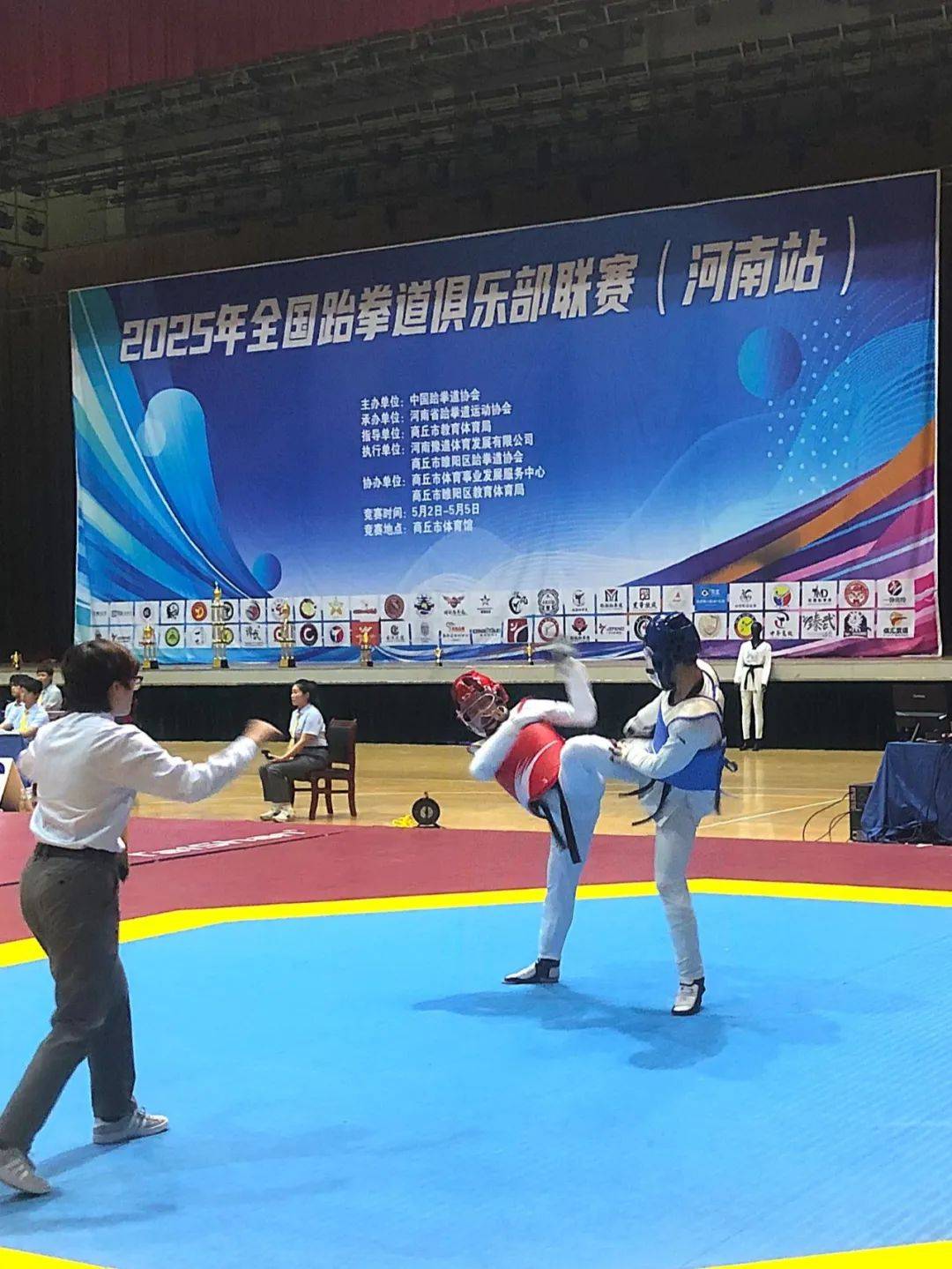 跆拳道选手再次夺冠,斩获金牌 跆拳道选手再次夺冠,斩获金牌