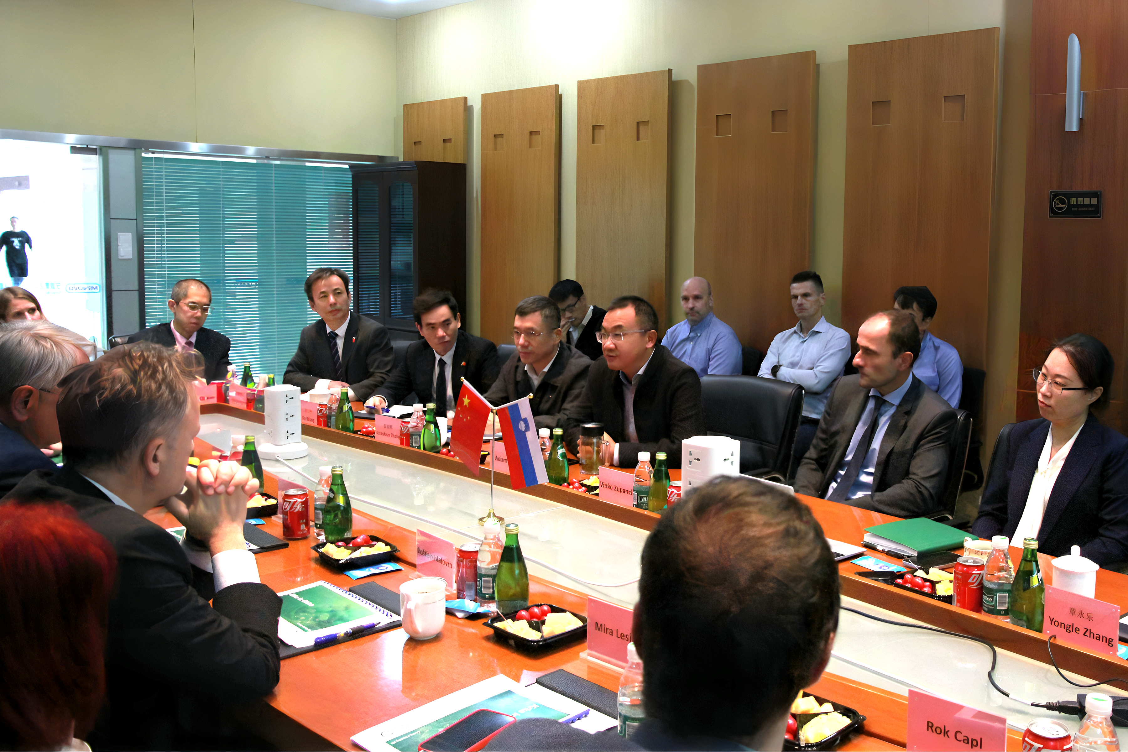 {随机}--瑞典在激战之后逼平斯洛文尼亚的简单介绍