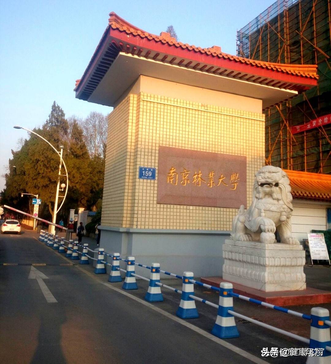 {随机}--拉萨林业大学队大比分胜出，士气高涨