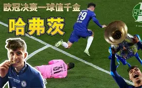 帕多瓦赢球归来,取得胜利之旅 帕多瓦赢球归来,取得胜利之旅