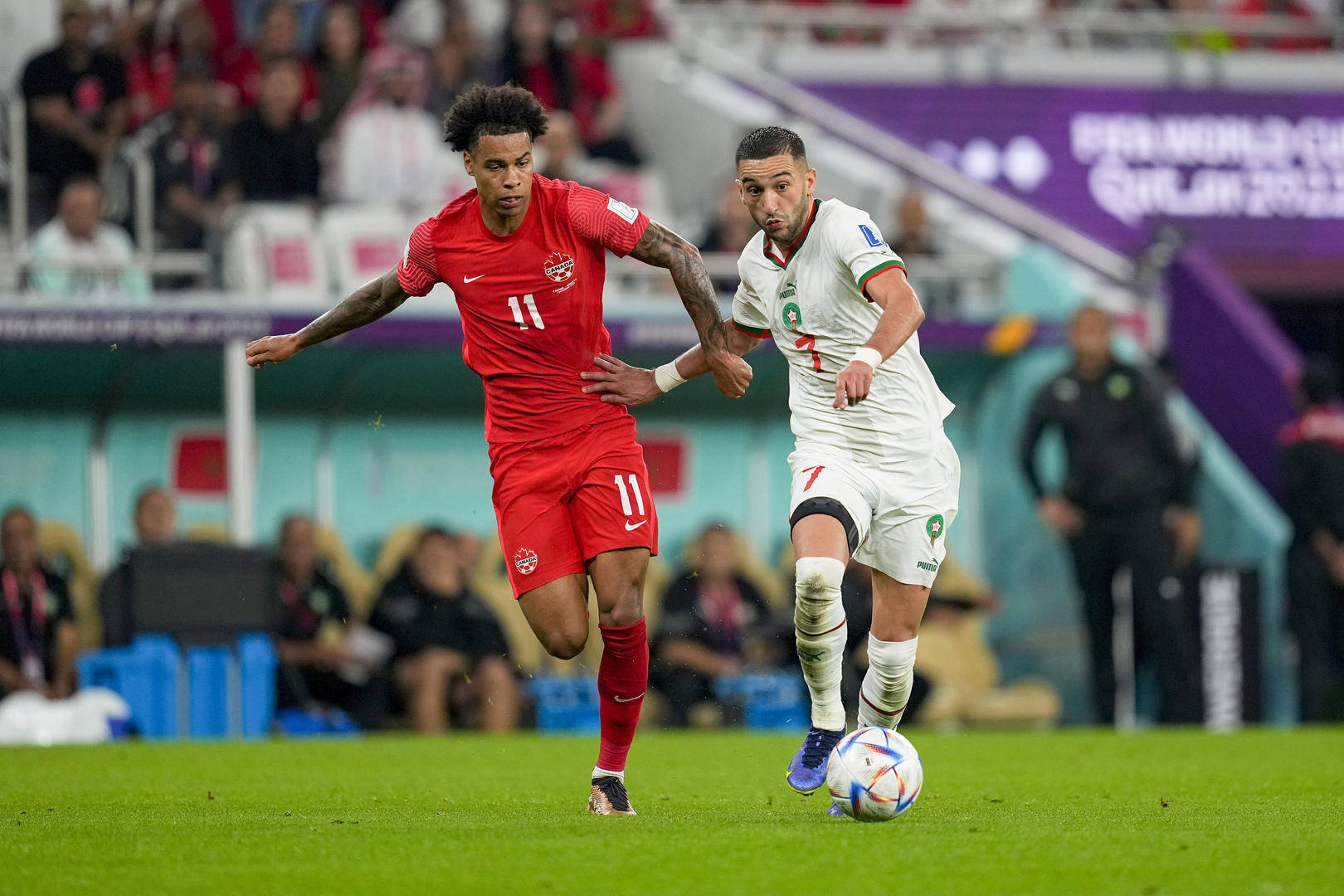 比利时连续取胜,轻松晋级欧锦赛! 比利时连续取胜,轻松晋级欧锦赛!