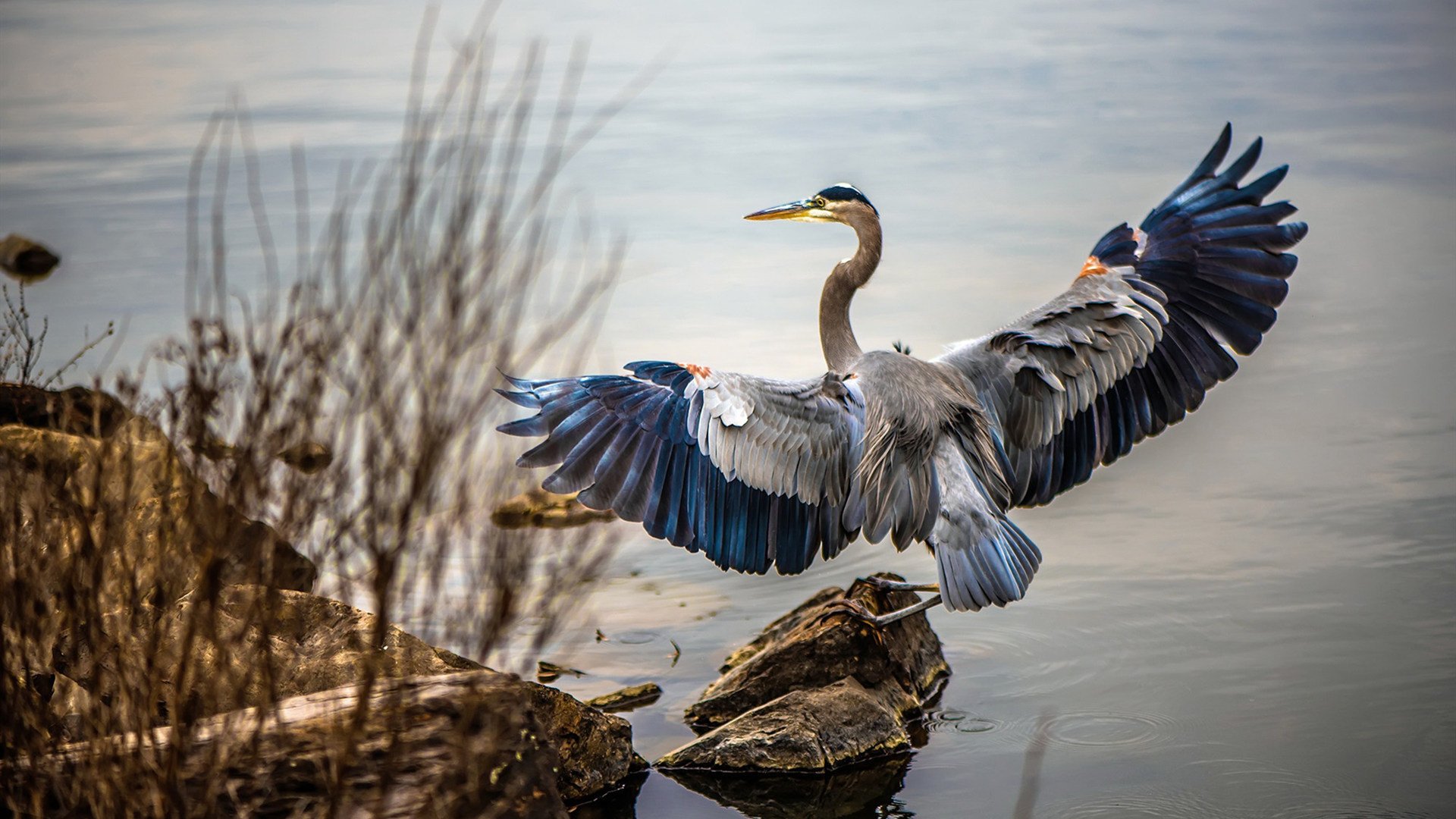 绿茵与硬木的交响，当欧冠半决赛的战术风云，遇见76人与国王的鏖战哲学